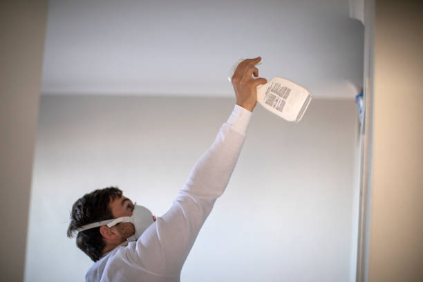 Best Attic Mold Removal  in Morrison, IL