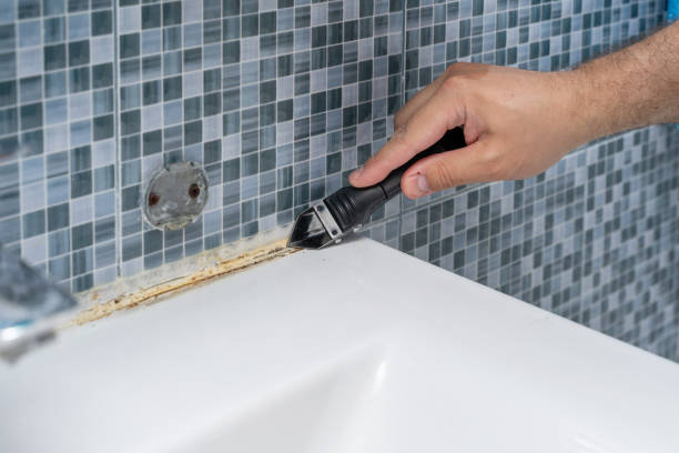 Best Residential Mold Removal  in Morrison, IL